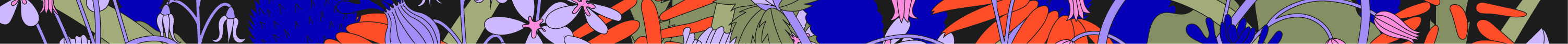 Footer Divider